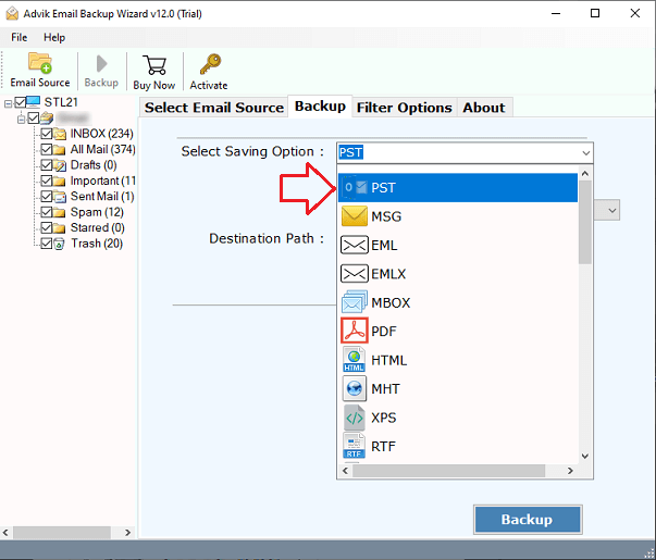 choose desired file format