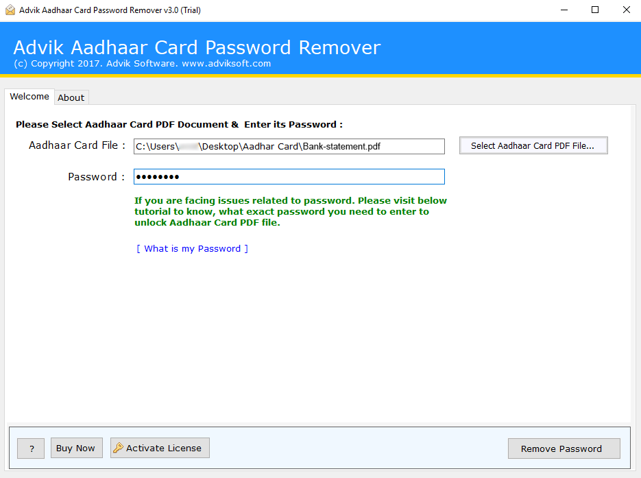 bank statement password remover