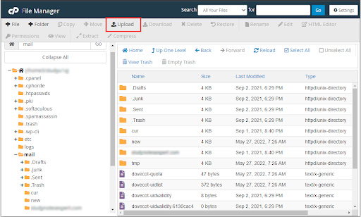 move emails from cPanel to another cPanel