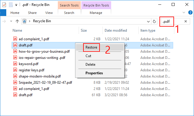 recover deleted PDF files from laptop using recycle bin