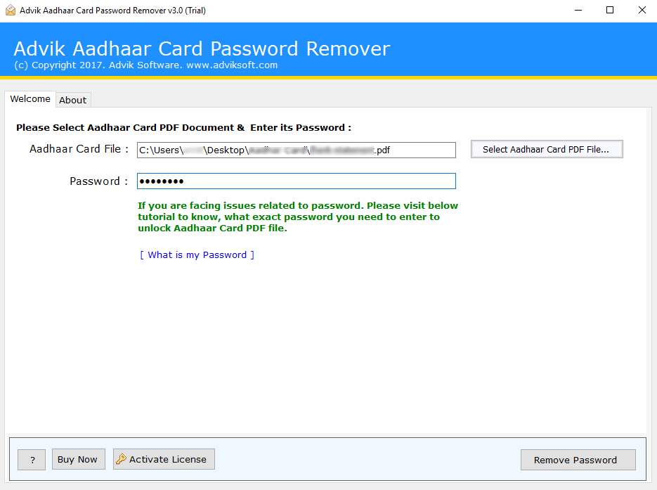 Enter the correct PDF password