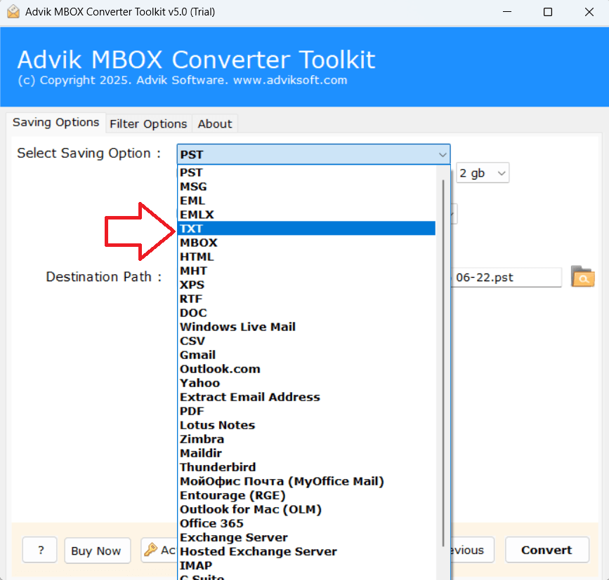 choose TXT as the output file format