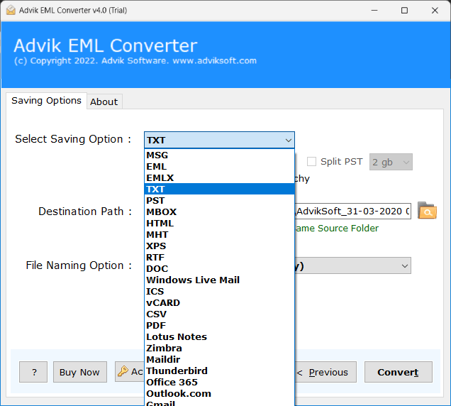 choose txt saving option